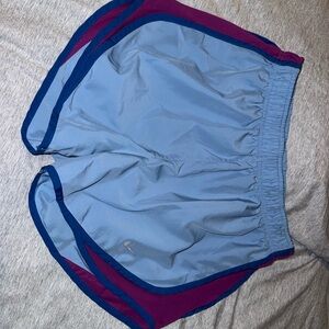 Blue and Purple Athletic Shorts